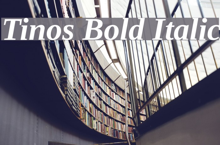 Tinos Bold Italic Font examples