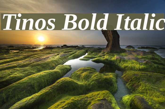 Tinos Bold Italic Font examples