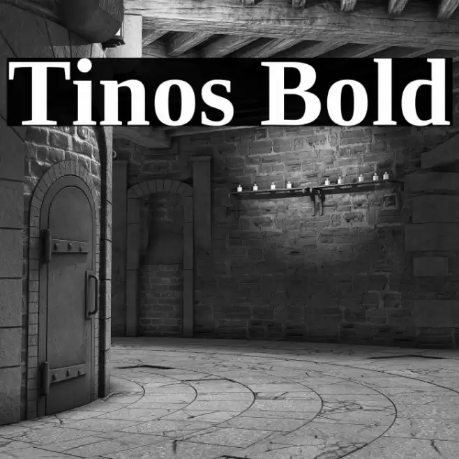 Tinos Bold Font examples
