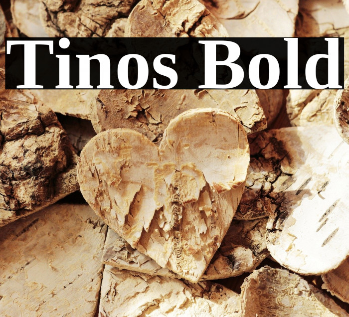 Tinos Bold Font examples