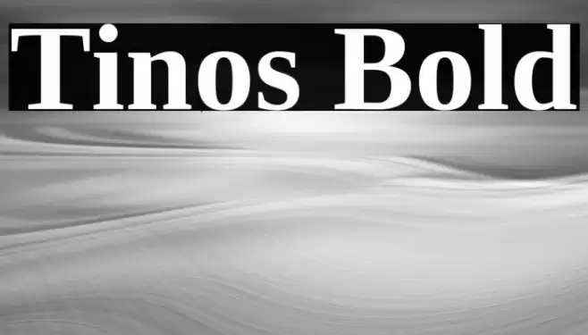 Tinos Bold Font examples