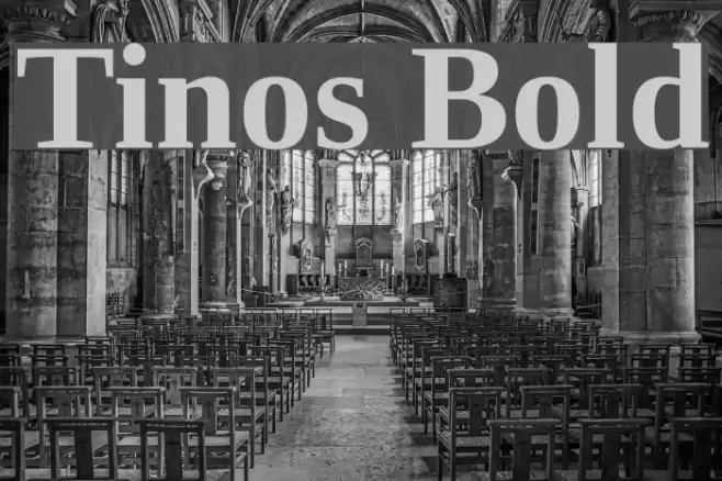 Tinos Bold Font examples