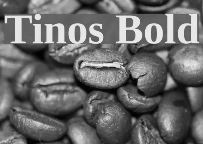 Tinos Bold Font examples