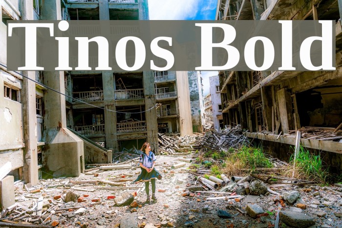 Tinos Bold Font examples
