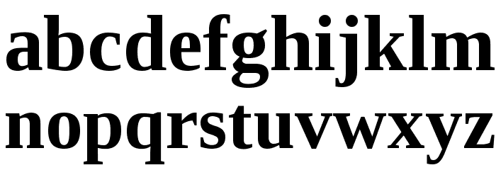 Tinos Bold Font LOWERCASE
