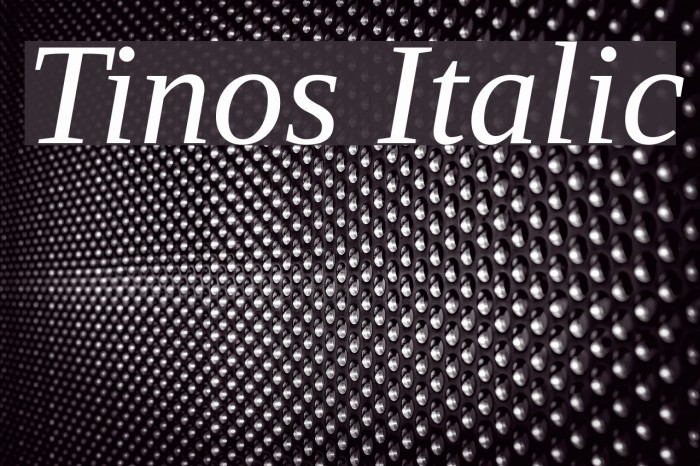 Tinos Italic Font examples