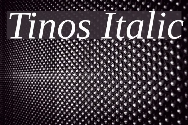 Tinos Italic Example 1