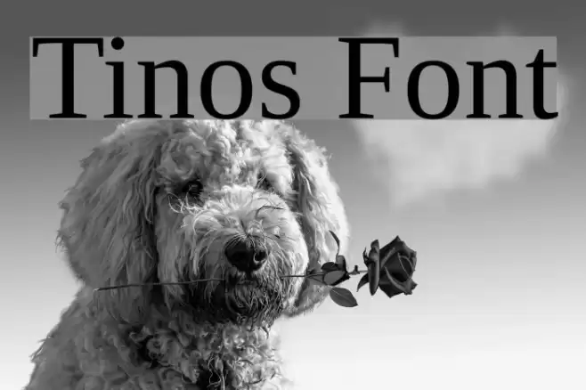 Tinos Font examples