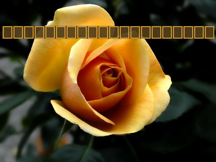 TinplateTitlingBlack Font examples