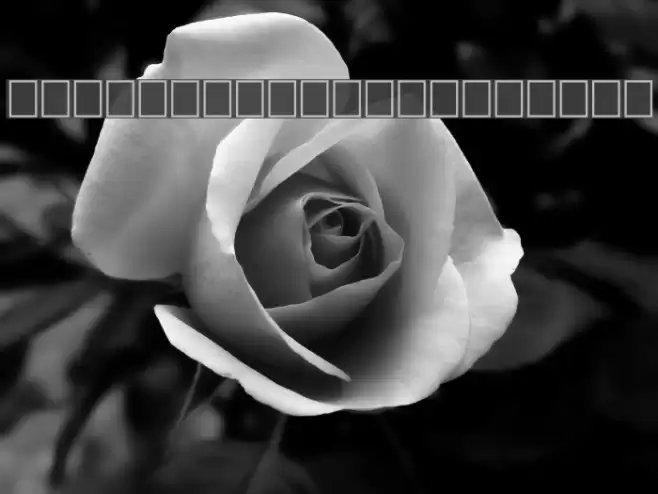 TinplateTitlingBlack Font examples