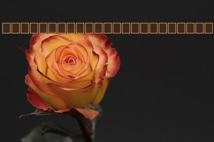 TinplateTitlingShadowed フォント examples
