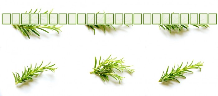 TinplateTitlingShadowed フォント examples