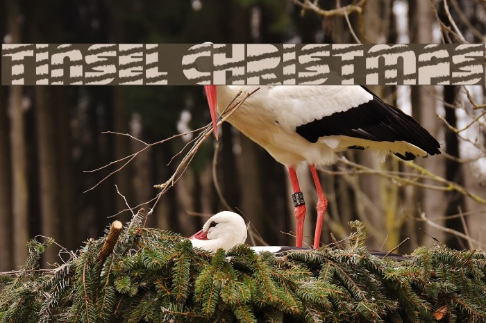 Tinsel Christmas Example 2