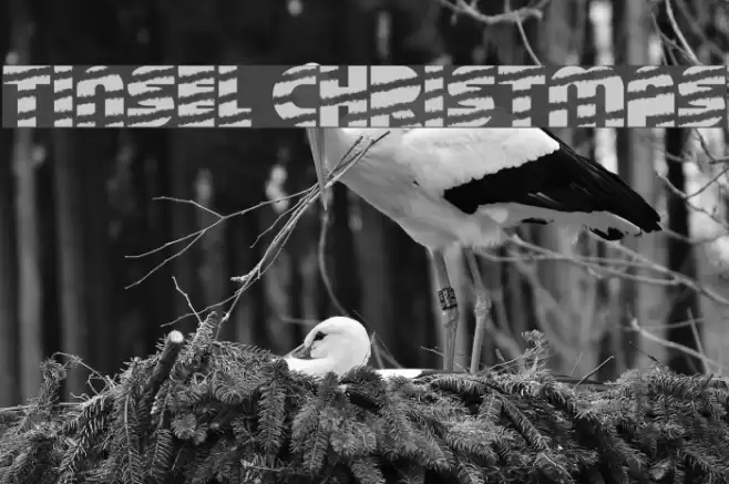 Tinsel Christmas Font examples