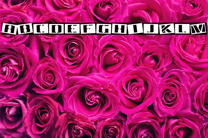 Tinsnips-Regular Example 1