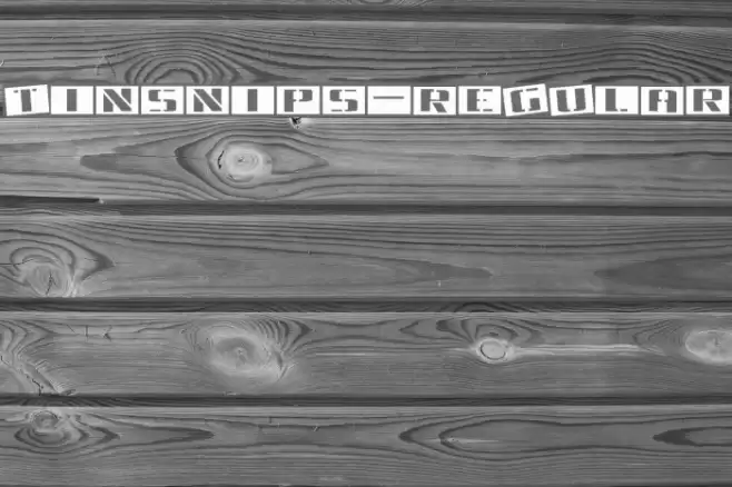 Tinsnips-Regular Font examples