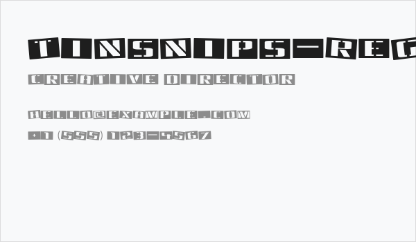 Tinsnips-Regular Business Card