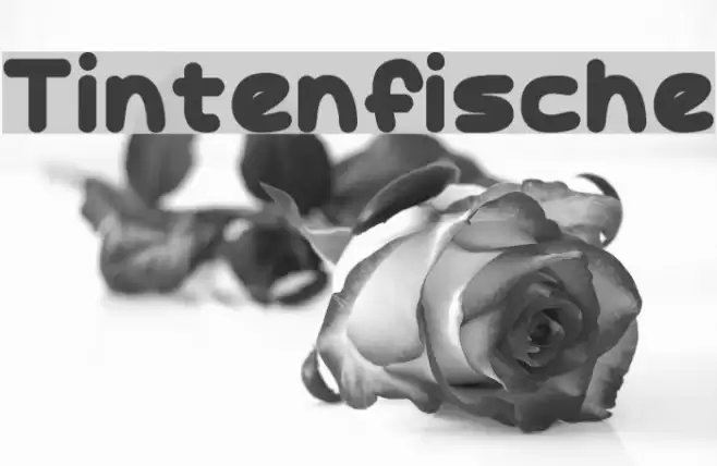 Tintenfische Font examples