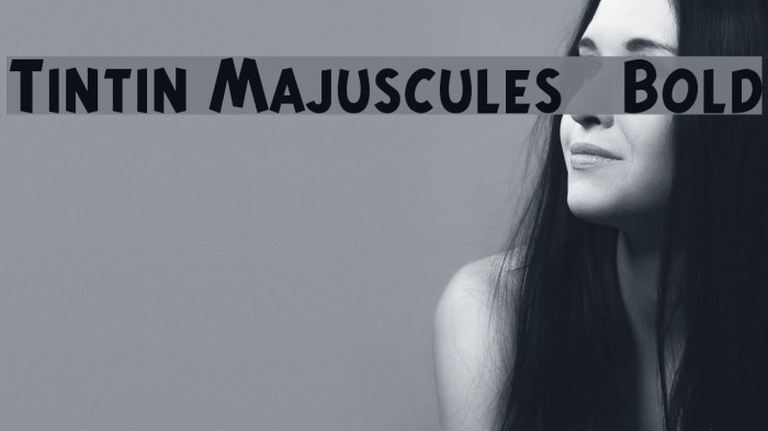 Tintin Majuscules Bold Font examples