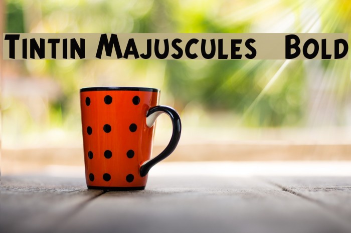 Tintin Majuscules Bold Font examples