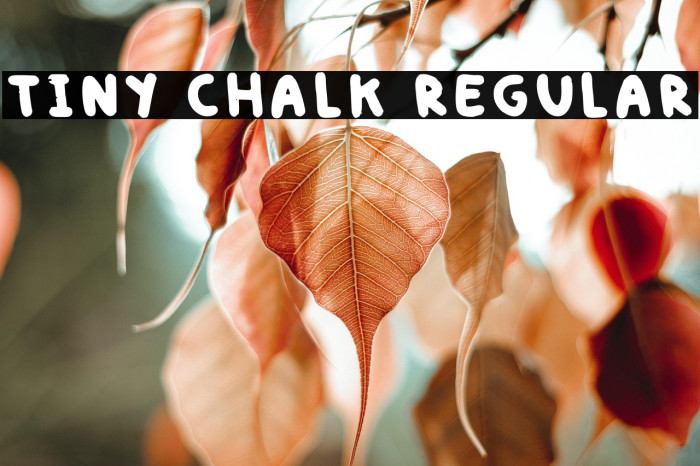 Tiny Chalk Regular Example 2