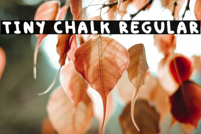 Tiny Chalk Regular Example 2
