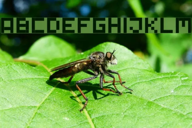 Tiny Pixy Example 1