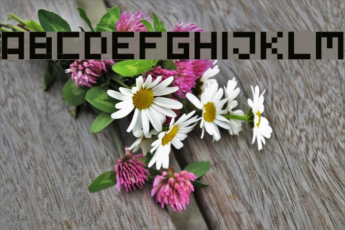Tiny Pixy Font examples
