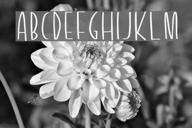 Tiny Trees Font examples