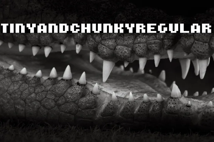 Tiny and Chunky Regular Example 2