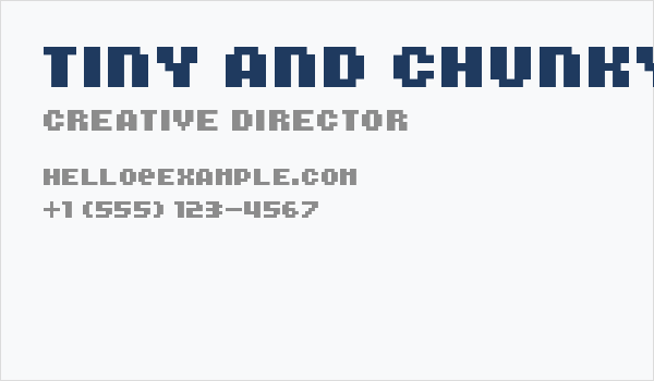 Tiny and Chunky Regular Business Card