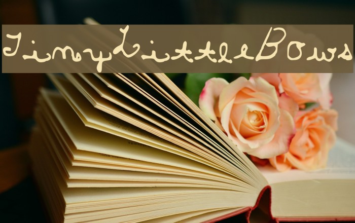 TinyLittleBows Example 1