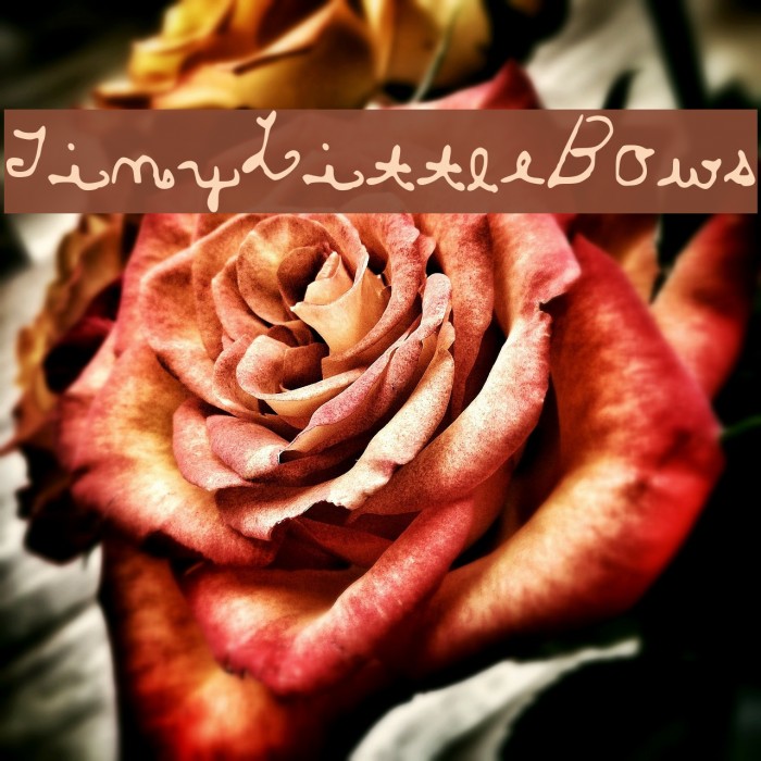 TinyLittleBows Example 2