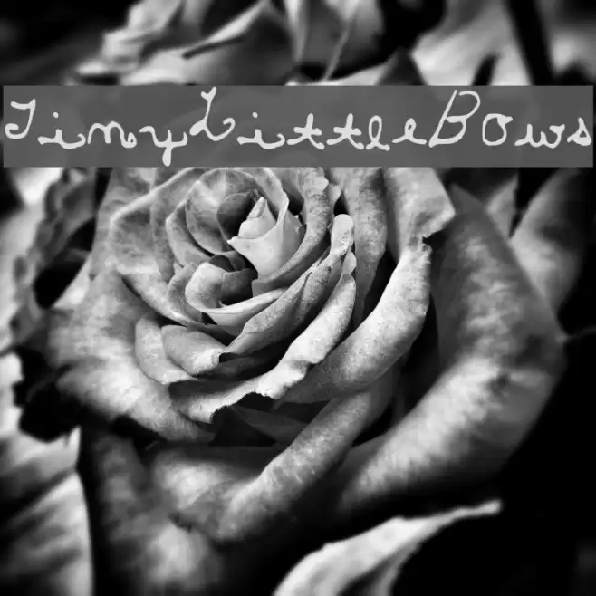 TinyLittleBows Font examples