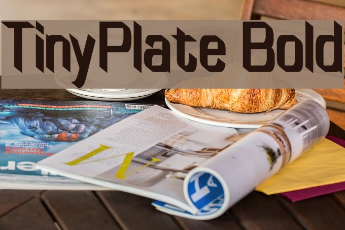 TinyPlate Bold Example 2