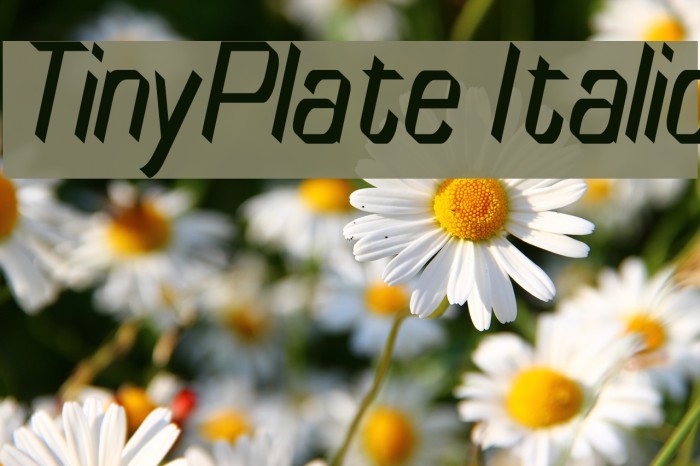 TinyPlate Italic Font examples