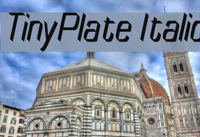 TinyPlate Italic Font examples