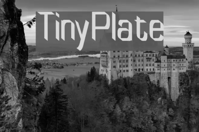 TinyPlate Шрифта examples