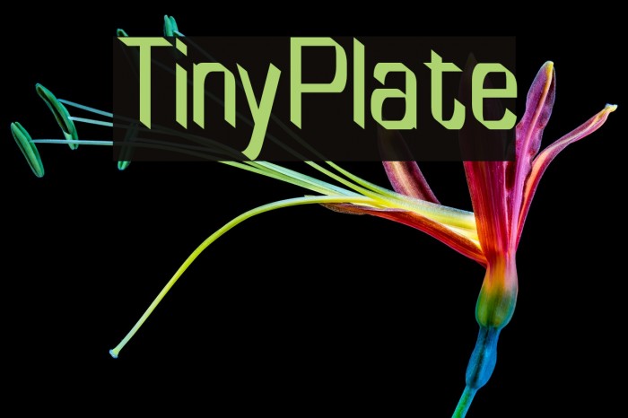 TinyPlate Font examples