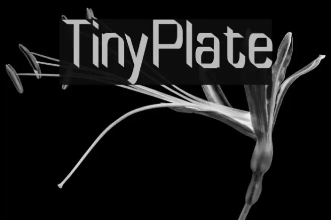 TinyPlate Шрифта examples