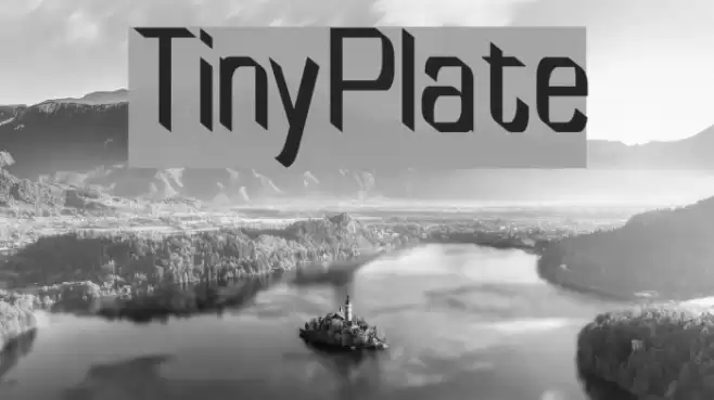 TinyPlate Шрифта examples