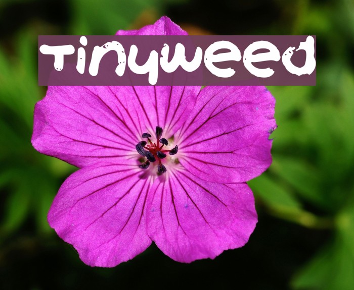 TinyWeed Font examples