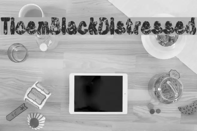 Tioem-Black-Distressed Font examples