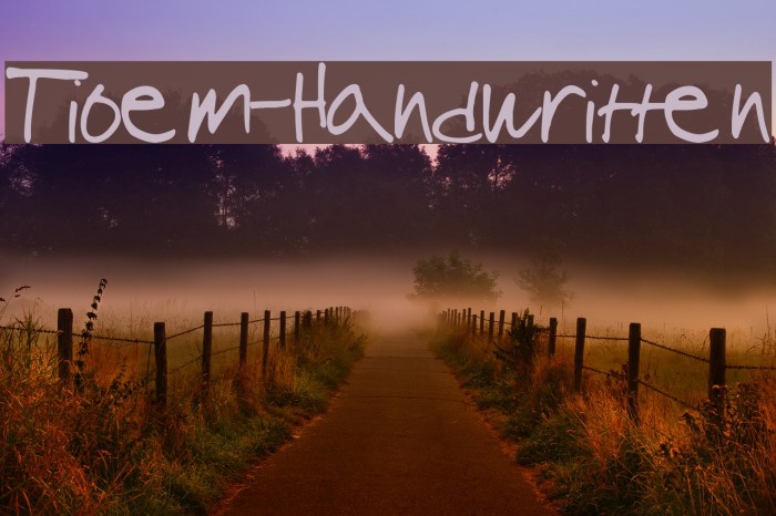 Tioem-Handwritten Font examples