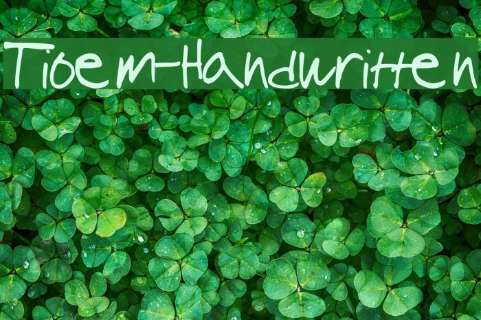 Tioem-Handwritten Font examples