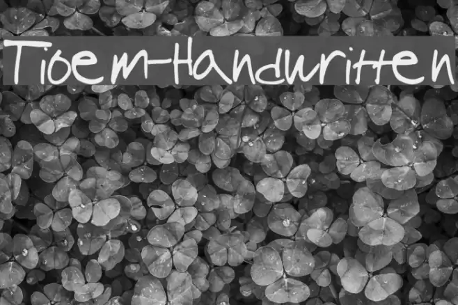 Tioem-Handwritten Шрифта examples