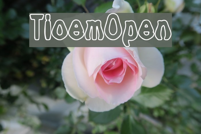 Tioem-Open Font examples