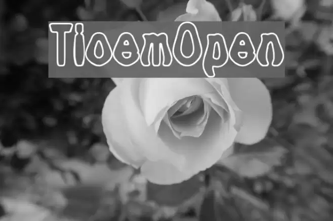 Tioem-Open Caratteri examples
