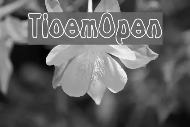 Tioem-Open Caratteri examples