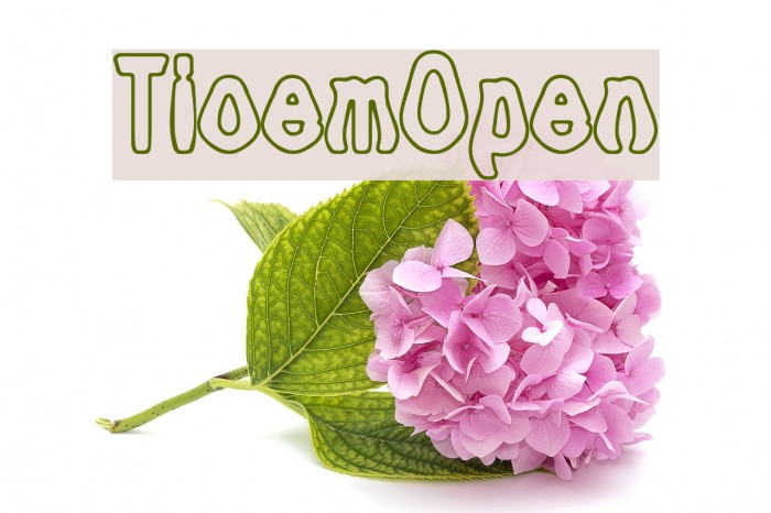 Tioem-Open Font examples